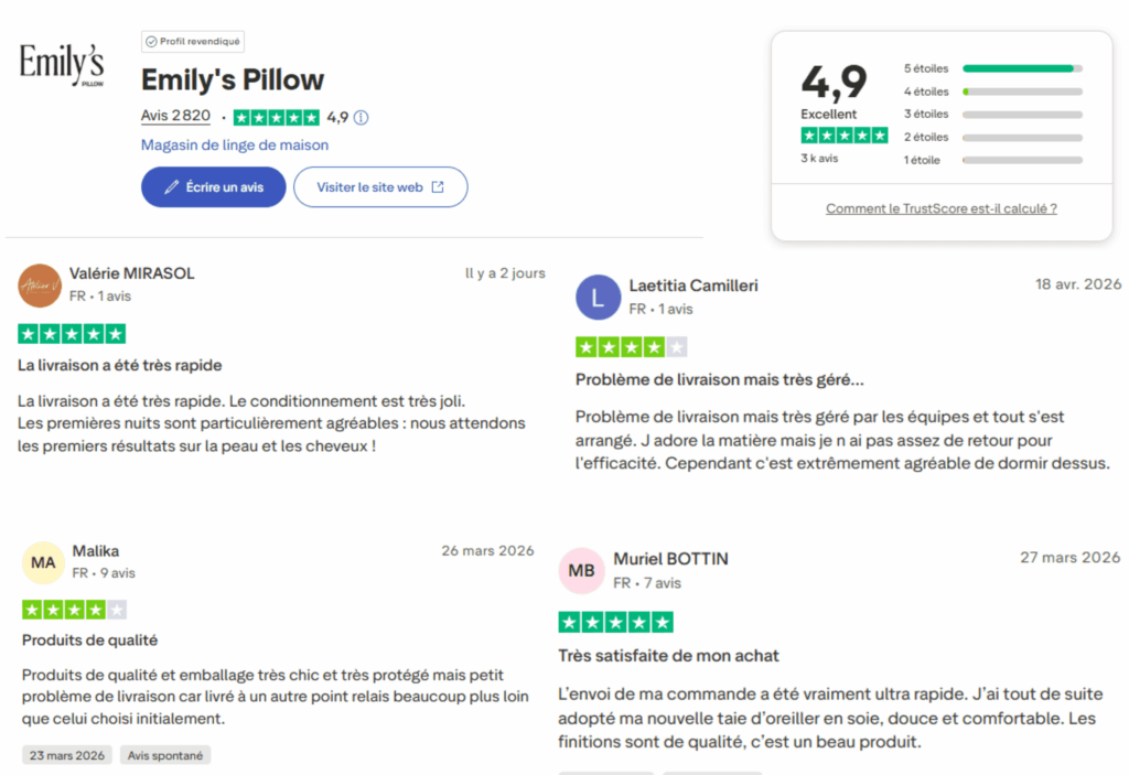 avis des clients sur emily's pillow