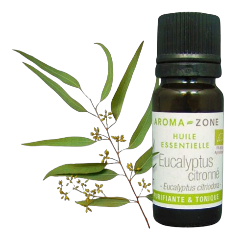 Huile essentielle d'Eucalyptus citronné Bio Aroma-Zone