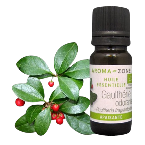 Huile essentielle de Gaulthérie odorante Bio Aroma-Zone