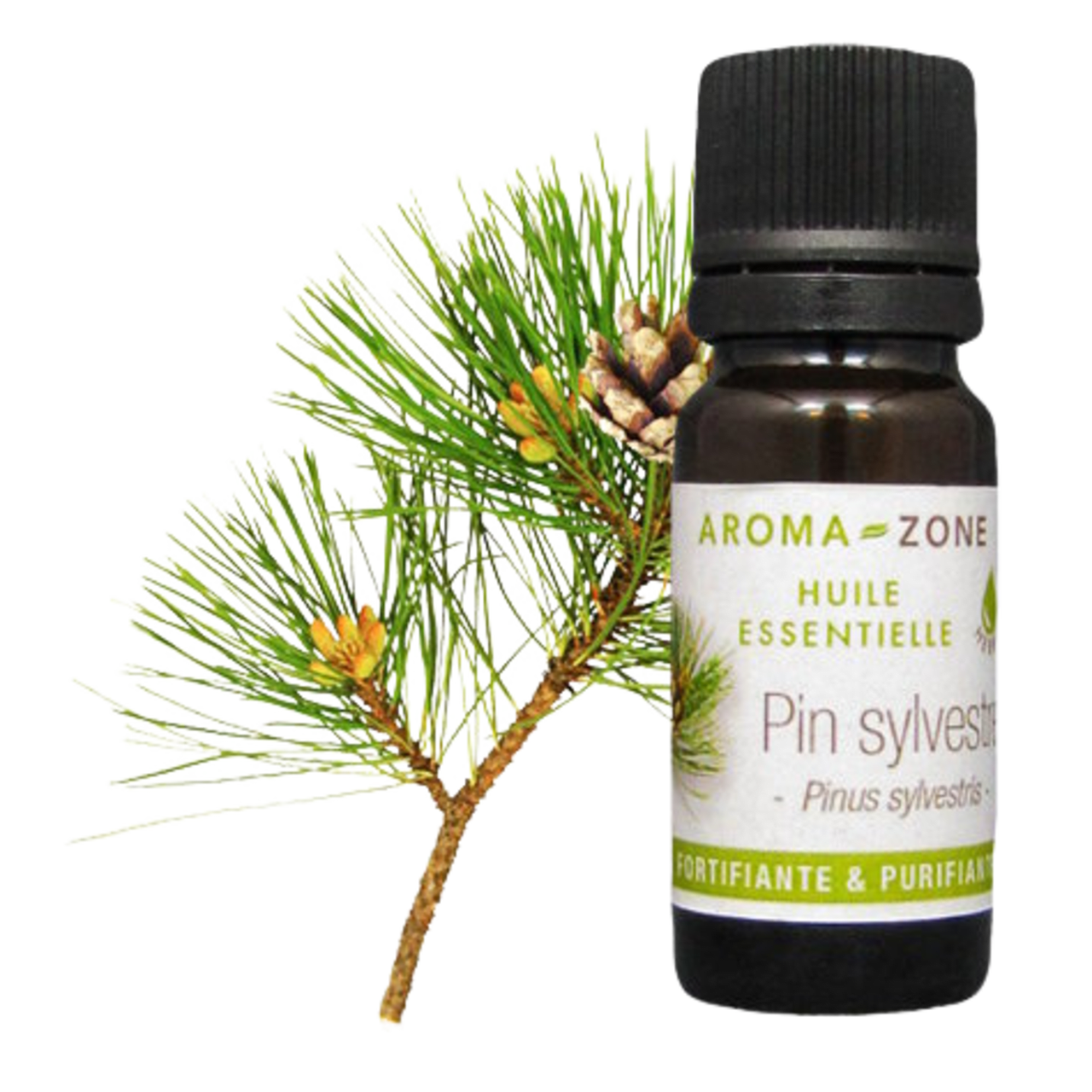 Huile essentielle de Pin sylvestre Aroma-Zone