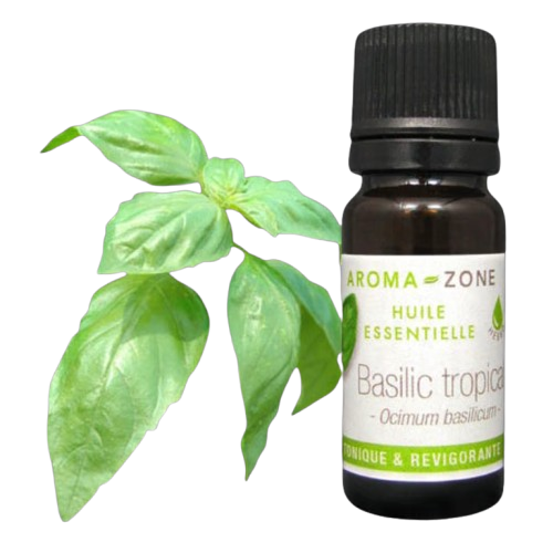 Aroma-Zone Basilic Tropical huile essentielle céphalée tension antispasmodique