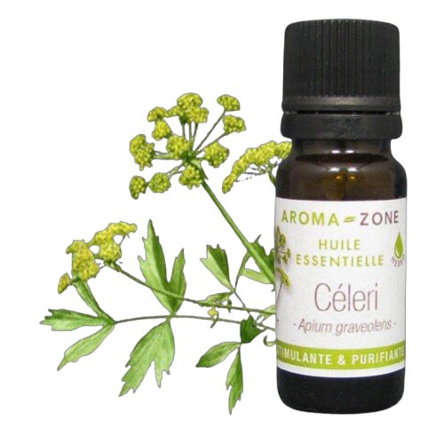 Aroma-Zone HE Céleri huile essentielle taches brunes dépigmentant phtalides