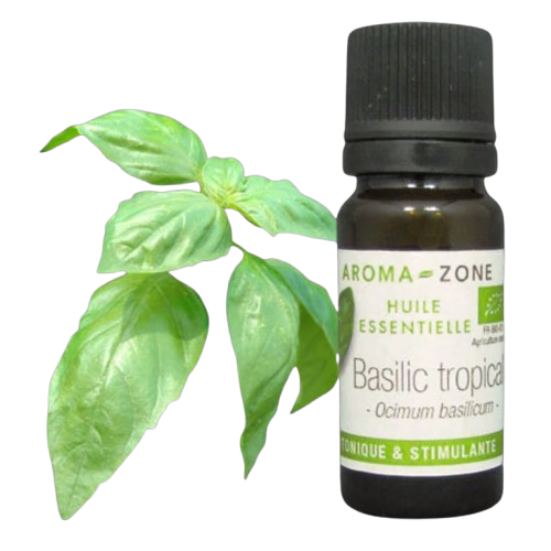 Aroma-Zone Basilic Tropical bio huile essentielle acouphènes tension cervicale mâchoire
