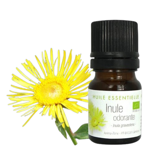 Aroma-Zone Inule Odorante bio huile essentielle bronchite mucolytique puissant