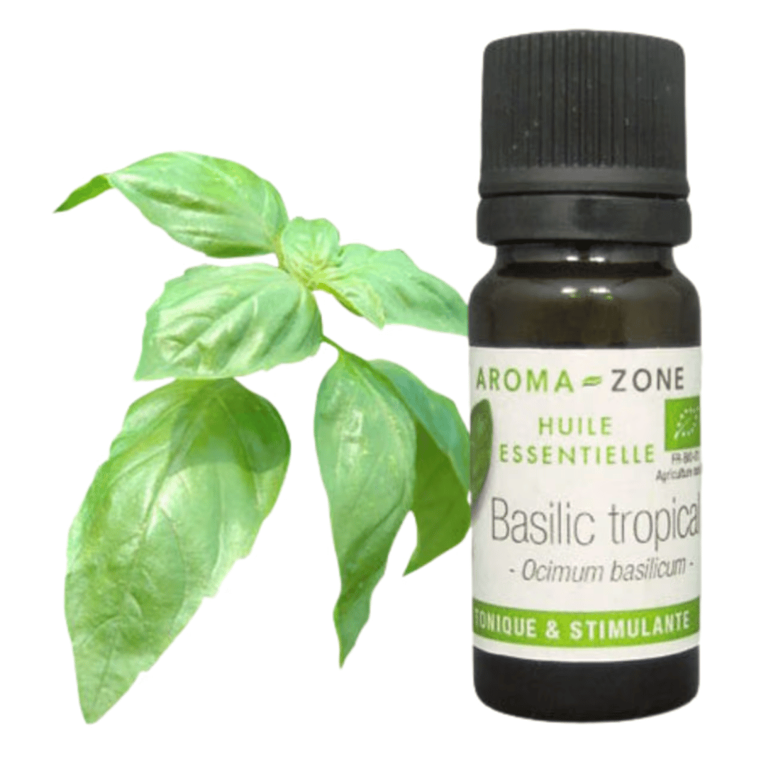 Aroma-Zone Basilic Tropical bio huile essentielle fatigue mentale concentration