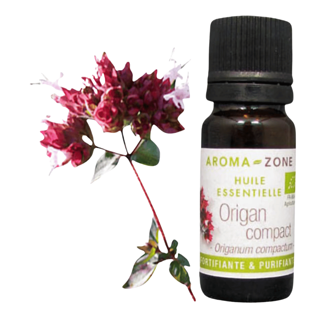 Aroma-Zone Origan Compact bio huile essentielle anti-infectieux carvacrol cystite