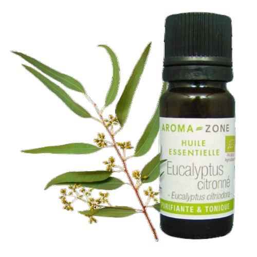 Aroma-Zone Eucalyptus Citronné bio huile essentielle arthrite inflammation articulaire