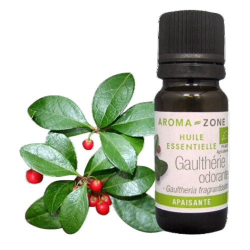 Aroma-Zone Gaulthérie Odorante bio huile essentielle douleurs articulaires arthrose